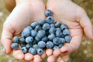 a handful always tastes better!